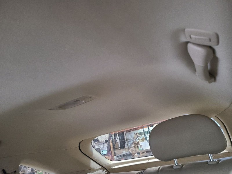 RX350     2013 Headliner 670202