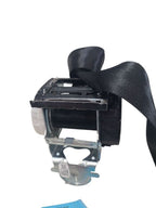 FUSION    2019 Seat Belt Rear 636100