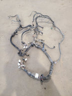 TACOMA    2005 Engine Wire Harness 673800