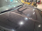 Hood Fits 08-22 SEQUOIA 672992