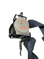 T100      1995 Seat Belt Rear 593146