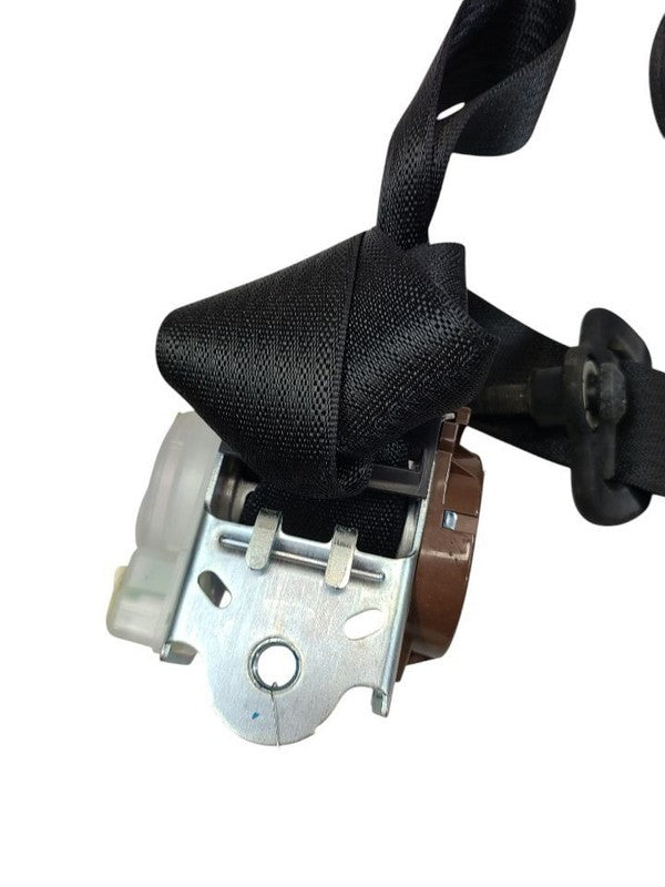 GRANDCHER 2017 Seat Belt Rear 613605