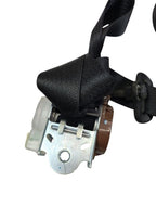 GRANDCHER 2017 Seat Belt Rear 613605