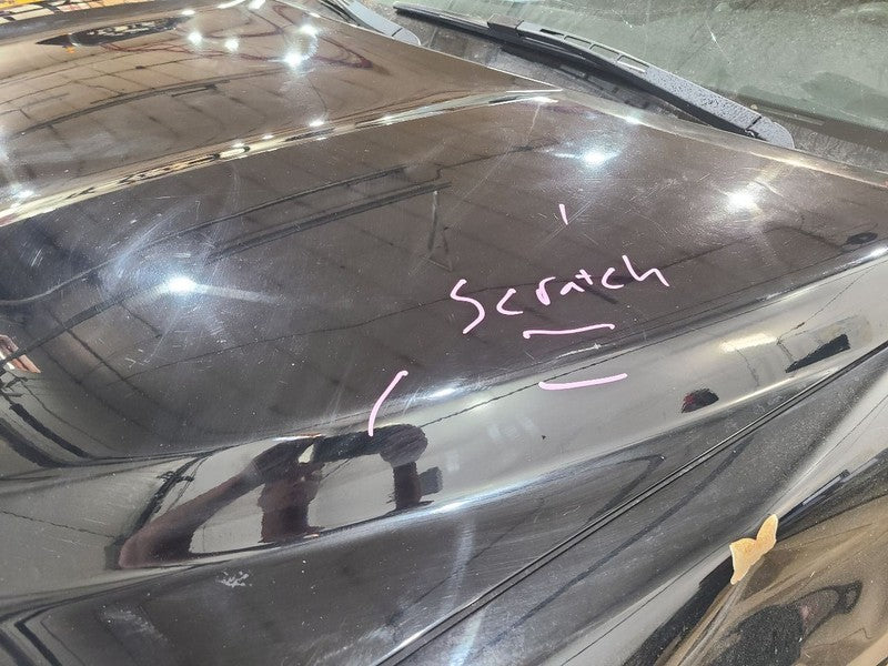 Hood Fits 08-22 SEQUOIA 657075