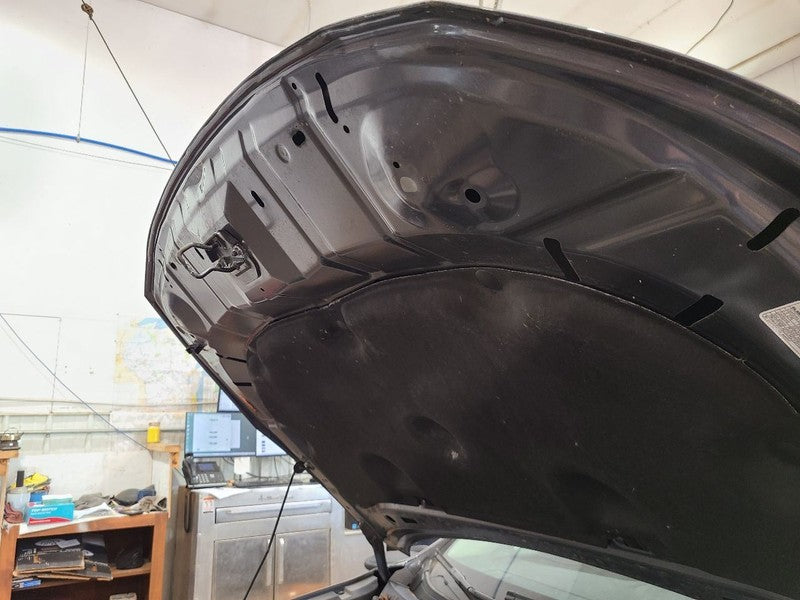 Hood Fits 20-25 LEGACY 672679