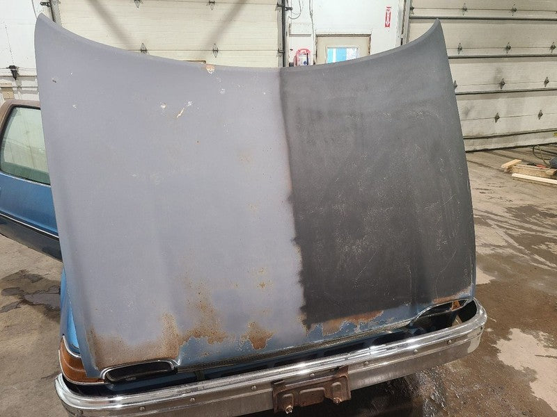 Hood Fits 75-77 PACER 661287