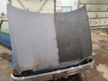 Hood Fits 75-77 PACER 661287