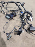 BOLT      2020 Engine Wire Harness 655379