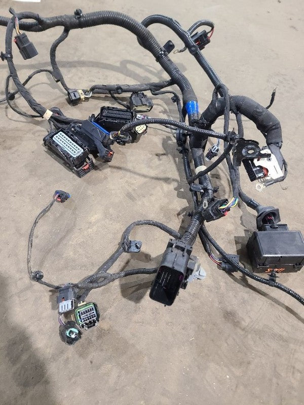 BOLT      2020 Engine Wire Harness 655379