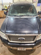 Hood Fits 04-08 FORD F150 PICKUP 653475