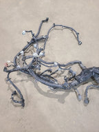 QX60      2016 Engine Wire Harness 659891