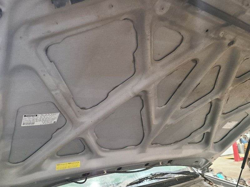 Hood Fits 01-07 SEQUOIA 667715