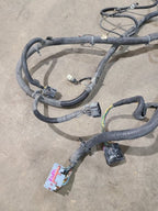 SIEDENALI 2010 Lamp Wiring Harness 613215