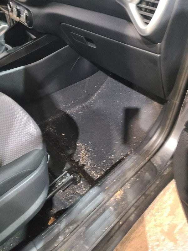 SOUL      2020 Carpet Front 669316