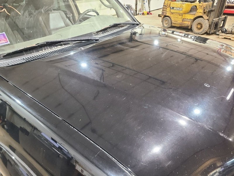 Hood Fits 01-07 SEQUOIA 665986