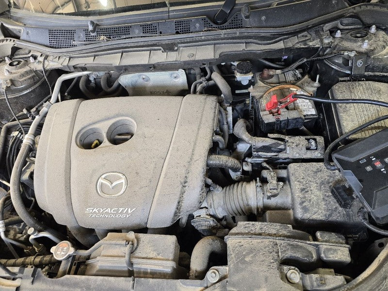 CX-5      2016 Seat Belt Rear 638571