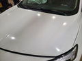Hood Fits 20-25 ENCORE GX 679758