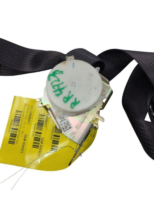 SILVRDO15 2017 Seat Belt Rear 616247