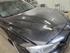 Hood Fits 12-18 BMW 320i 604475