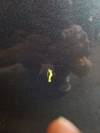 Passenger Front Door Electric Windows Fits 05-10 SCION TC 673314