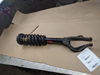 Driver Left Strut Front Fits 04-08 TSX 240130