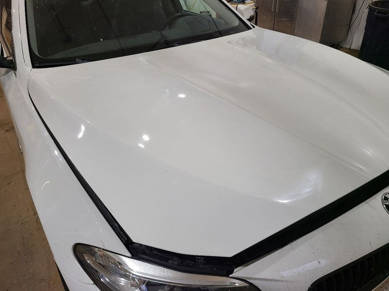 Hood Fits 11-16 BMW 528i 674517