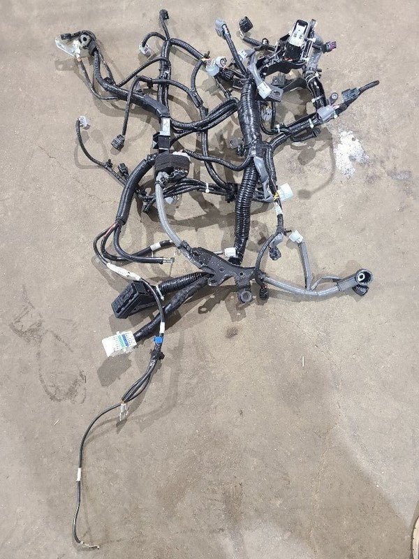 OUTBAKLEG 2024 Engine Wire Harness 608562