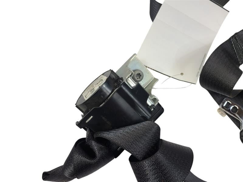 TAURUS    2013 Seat Belt Rear 604831