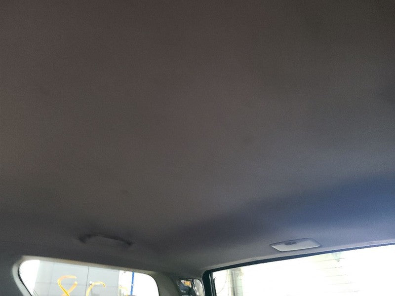4 RUNNER  2007 Headliner 667366