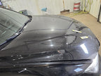 Hood Fits 12-18 BMW 320i 604475