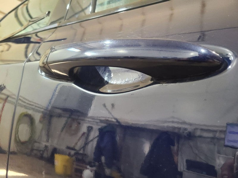 Door Handle Exterior Assembly Door Front Painted Fits 13-16 DART 66042