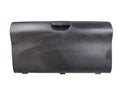 TDODR2500 1999 Glove Box 656839