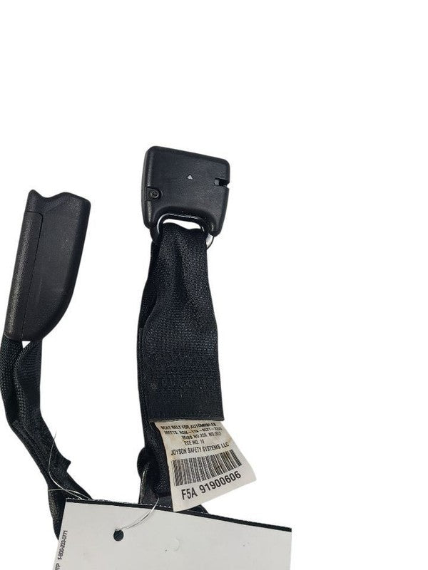 FIT       2019 Seat Belt Rear 649260