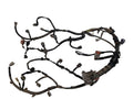 OUTBAKLEG 2011 Engine Wire Harness 644741