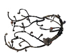 OUTBAKLEG 2011 Engine Wire Harness 644741