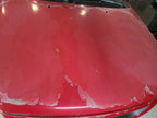 Hood Fits 97-98 EXPEDITION 666795