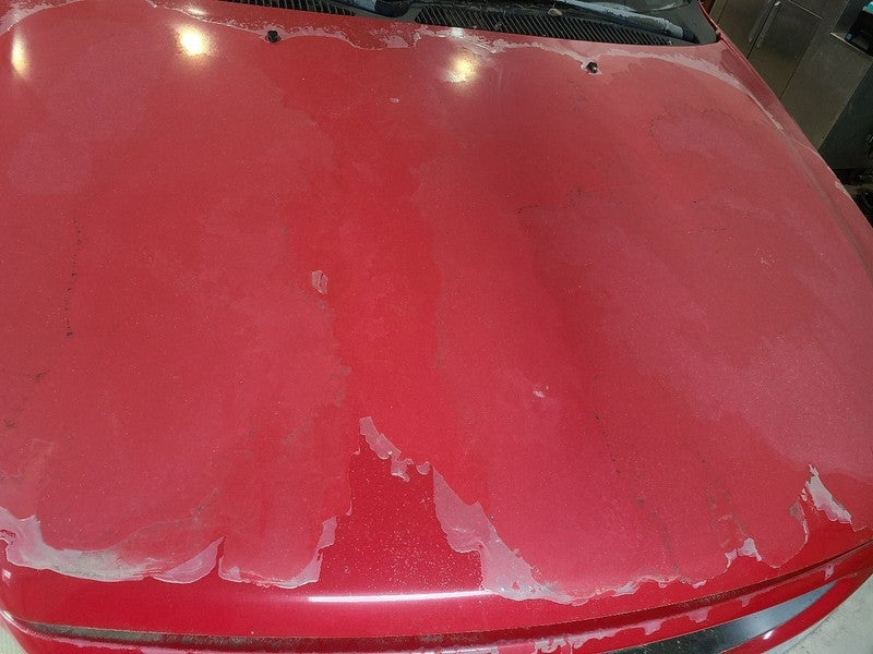Hood Fits 97-98 EXPEDITION 666795