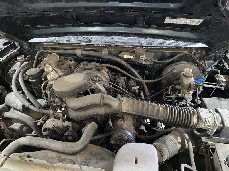 F150      1995 Seat Belt Front 640554