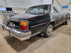 DELTA 88  1984 Dash Bezel 535331