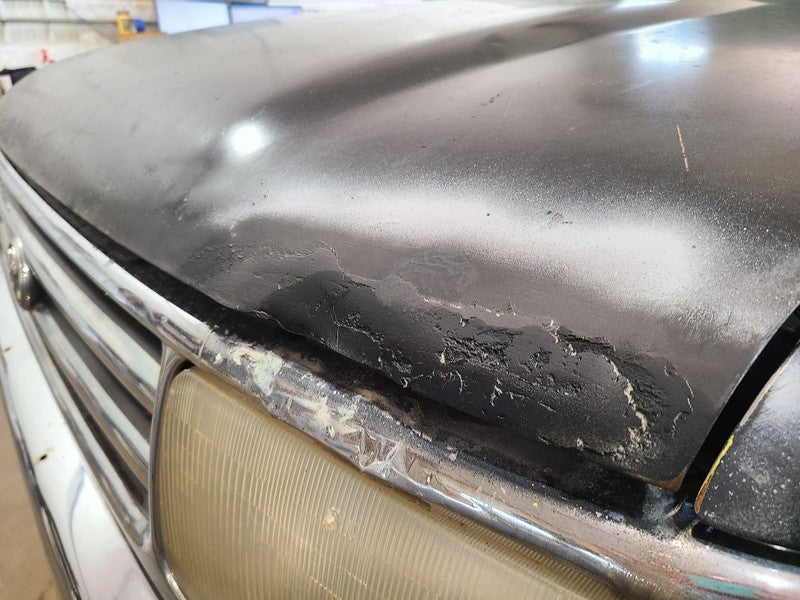 Hood Fits 93-98 T100 676226