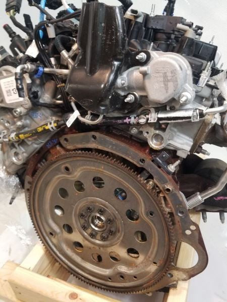 F150      2021 Engine 558738