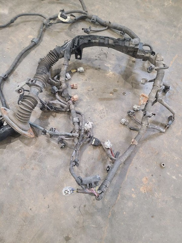 SEQUOIA   2005 Engine Wire Harness 664287