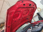 Hood Fits 97-98 EXPEDITION 666795