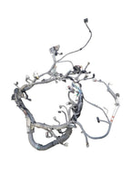TACOMA    2017 Engine Wire Harness 667314