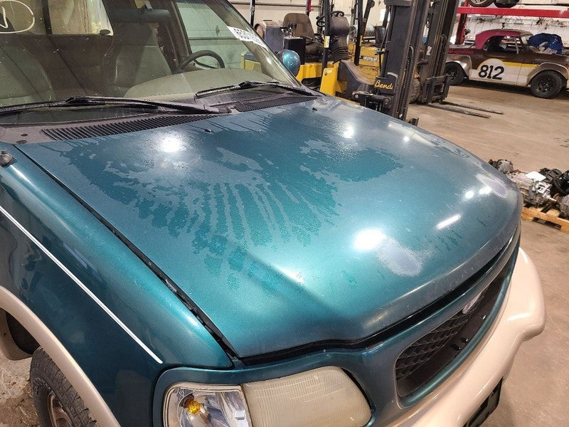 Hood Fits 97-98 EXPEDITION 678716
