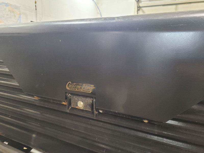 Trunk/Hatch/Tailgate Fits 95-02 DODGE 2500 PICKUP 667115