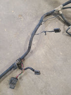 GRAND-WAG 1991 Lamp Wiring Harness 679047