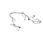 BOLT      2020 Lamp Wiring Harness 652796