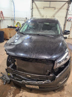 Driver Rear Side Door Thru 06/03/18 Fits 16-19 SORENTO 653370