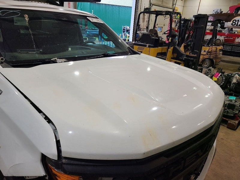 Hood Without Black Insert Fits 19-26 SILVERADO 1500 PICKUP 671034